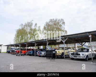 Aprile 2024 - raccolta di auto da corsa Ford Mustang nel paddock al 81° incontro dei membri a Goodwood, per celebrare i 60 anni dal suo lancio Foto Stock