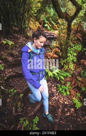 Descrizione: Foto ad alto angolo di una turista con zaino che percorre un sentiero stary attraverso una pittoresca foresta decidua. 25 Fontes, ma Foto Stock