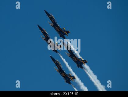 Il Naval Flight Demonstration Squadron, i Blue Angels si esibiscono all'El Centro Airshow sulla NAS El Centro a El Centro, California. (Foto US Navy di Mass Communication Specialist 2nd Class Crayton Agnew/rilasciato) Foto Stock