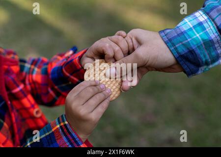 Primo piano delle mani del bambino e della madre mentre riceve un biscotto. Concetto famiglia e Festa della mamma. Foto Stock