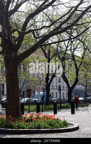 Giornata di sole nel parco cittadino. Splendida architettura del centro di Bratislava, Slovacchia. Scopri il concetto di Europa. Foto Stock