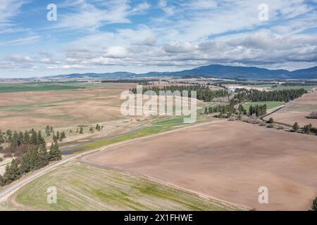 Un grande campo aperto con una strada che lo attraversa. Il cielo è limpido e blu, e gli alberi sono scarsi Foto Stock