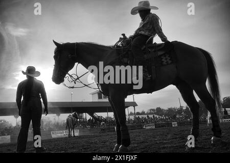 Bellville, Michigan, Stati Uniti. 10 giugno 2023. COLYER BLAND di Creta, Illinois, partecipa al Mid West Invitational Rodeo presso la zona fieristica della contea di Wayne a Bellville, Michigan. Bland ha perso l'occasione di fare la corda a un polpaccio durante l'evento di corsa del polpaccio. (Immagine di credito: © Brian Branch Price/ZUMA Press Wire) SOLO PER USO EDITORIALE! Non per USO commerciale! Foto Stock