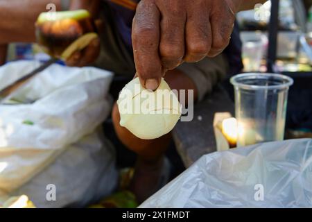 Mano corta che tiene la palma di Palmyra o i semi di palma toddy Foto Stock