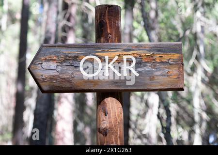 Testo OKR (obiettivi, chiave e risultati) su un cartello in legno sullo sfondo di una foresta Foto Stock