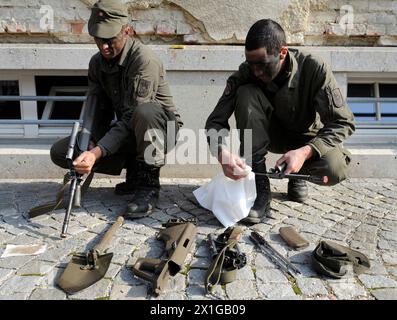 Caratteristica: Esercito. Forze dell'esercito federale austriaco nella Maria Theresien-Casern a Vienna, 13 ottobre 2010. - 20101013 PD4903 - Rechteinfo: Diritti gestiti (RM) Foto Stock