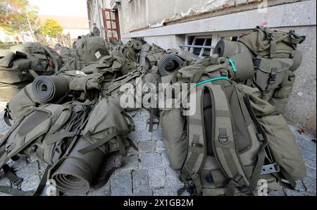 Caratteristica: Esercito. Forze dell'esercito federale austriaco nella Maria Theresien-Casern a Vienna, 13 ottobre 2010. - 20101013 PD4919 - Rechteinfo: Diritti gestiti (RM) Foto Stock