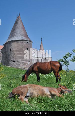 Castello di Corvin, castello di Hunyadi, castello di Hunedoara, Romania Foto Stock