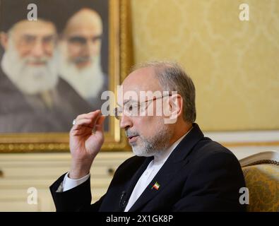 Vienna - Ali Akbar Salehi durante l'intervista con Austria Presse Agentur il 28 febbraio 2013. Ali Akbar Salehi è un accademico iraniano e attuale ministro degli affari esteri dal 13 dicembre 2010. - 20130228 PD3786 - Rechteinfo: Diritti gestiti (RM) Foto Stock