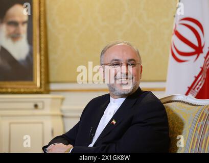 Vienna - Ali Akbar Salehi durante l'intervista con Austria Presse Agentur il 28 febbraio 2013. Ali Akbar Salehi è un accademico iraniano e attuale ministro degli affari esteri dal 13 dicembre 2010. - 20130228 PD3779 - Rechteinfo: Rights Managed (RM) Foto Stock