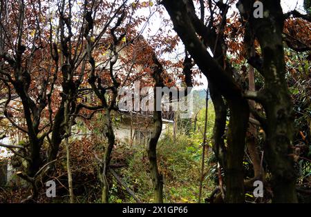 Visita la casa del collezionista d'arte tedesco Cornelius Gurlitt a Salisburgo, Austria, 5 novembre 2013. Una scorta privata di 1.500 dipinti che sono stati sequestrati dai nazisti, è stata trovata in Germania, una rivista di notizie ha detto il 3 novembre. Gli investigatori doganali hanno trovato l'arte scomparsa più di due anni fa in un appartamento di Monaco di Baviera del 80enne Cornelius Gurlitt, ma questa non è stata divulgata all'epoca, ha riferito la rivista "Focus". - 20131105 PD0557 - Rechteinfo: Rights Managed (RM) Foto Stock