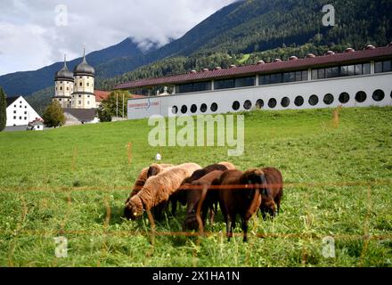 Schigymnasium Stams, un'accademia di sci che ospita¿sotto lo stesso tetto i giovani sciatori più talentuosi della nazione austriaca per combinare lo sviluppo accademico, atletico e sciistico. 50 anni dopo gli atleti della Stams Ski Academy hanno prodotto più di 300 medaglie olimpiche e mondiali. Lo Schigymnasium Stams festeggia il 50° anniversario il 30 settembre 2017. Catturato il 18 settembre 2017. - 20170918 PD12234 - Rechteinfo: Rights Managed (RM) Foto Stock