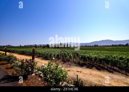 Strade sterrate vicino ai vigneti di Napa Valley, California Foto Stock