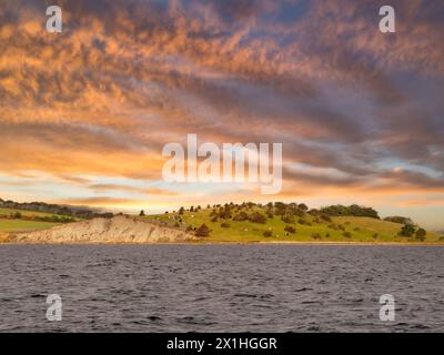 Panorama della costa con mucche da pascolo sulle colline ondulate della penisola di Knolden vicino a Dyreborg al tramonto, Funen, Danimarca meridionale Foto Stock