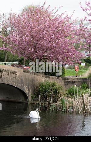 Perry Hall Park, Birmingham, West Midlands, Inghilterra, Regno Unito Foto Stock