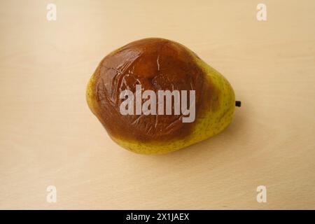 primo piano pere mature gialle tritate ricoperte da marciume, muffa soffice grigia, bianca, funghi concettuali su prodotti di superficie, cibo contaminato da spore, micetta Foto Stock