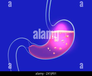 Illustrazione 3D della digestione dello stomaco con bruciore e pesantezza. Mostra l'interno con del cibo. Anatomia del vetro trasparente con luci e riflessi Foto Stock