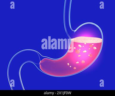 Illustrazione 3D della digestione dello stomaco con bruciore e pesantezza. Mostra l'interno con del cibo. Anatomia del vetro trasparente con luci e riflessi Foto Stock