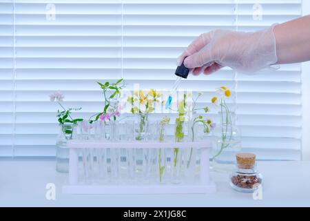 scienziata donna prepara campioni di piante per l'analisi in laboratorio universitario, studia il dna delle piante, scienza concettuale, chimica, laboratorio biologico, Foto Stock