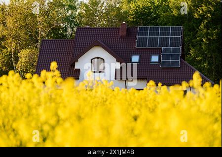 Una casa con pannelli fotovoltaici dietro un campo di canola in fiore Foto Stock