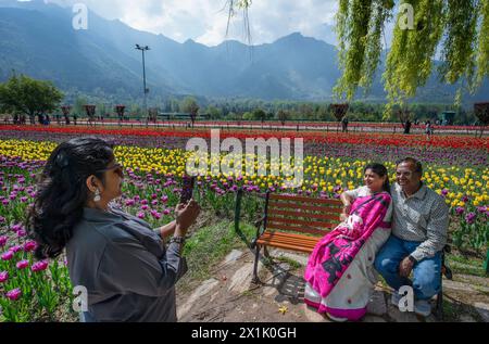 Srinagar, Kashmir controllato dagli indiani. 17 aprile 2024. I turisti posano per una foto in un giardino di tulipani a Srinagar, la capitale estiva del Kashmir controllato dagli indiani, il 17 aprile 2024. Crediti: Javed Dar/Xinhua/Alamy Live News Foto Stock