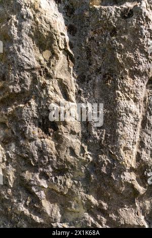 Consistenza di pietra calcarea grossa in posizione verticale. Foto Stock