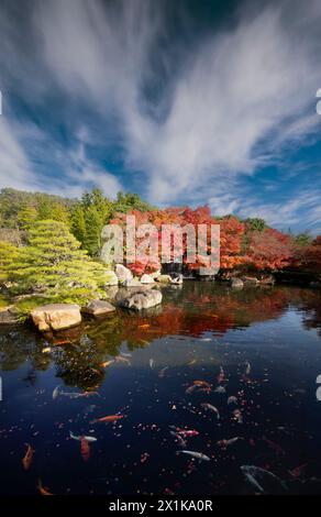 Giardino ornamentale giapponese autunnale con laghetto di carpe Koi presso i terreni del castello di Himeji, Giappone. Foto Stock