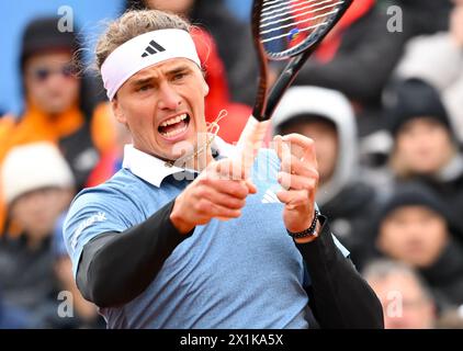 Monaco, Germania. 17 aprile 2024. Tennis: Tour ATP - Monaco, singoli, uomini, 16° turno. Zverev (Germania) - Rodionov (Austria). Alexander Zverev in azione. Crediti: Sven Hoppe/dpa/Alamy Live News Foto Stock