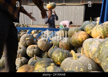 Singair, Manikganj, Bangladesh. 17 aprile 2024. Gli agricoltori vendono zucche ai grossisti di Singair upazila, distretto di Manikganj, Bangladesh. Gli agricoltori portano le zucche dai campi e le mettono in fila sul mercato per la vendita. Cento zucche sono vendute qui per 500 ($5) a 8000 ($70) bdt a seconda delle dimensioni. (Immagine di credito: © Syed Mahabubul Kader/ZUMA Press Wire) SOLO PER USO EDITORIALE! Non per USO commerciale! Foto Stock