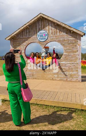 Amici che indossano abiti luminosi scattano foto al Tulleys Tulip Fest presso Tulleys Farm, Turners Hill, Crawley, West Sussex UK ad aprile Foto Stock