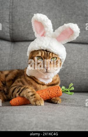 Gatto del Bengala con un giocattolo di carote e un cerchietto con le orecchie sulla testa. Cat - coniglietto pasquale. Foto Stock