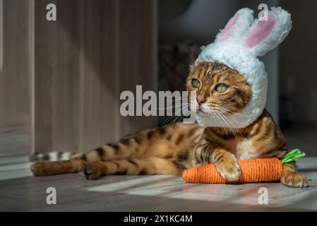 Gatto del Bengala con un giocattolo di carote e un cerchietto con le orecchie sulla testa. Cat - coniglietto pasquale. Foto Stock