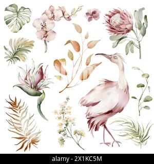 Uccelli rosa Ibis. Elementi di acquerello di uccelli tropicali, fiori e piante. Piante di banane e orchidee, fenicottero australiano su sfondo bianco. Foto Stock
