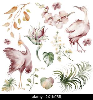 Uccelli rosa Ibis. Elementi di acquerello di uccelli tropicali, fiori e piante. Piante di banane e orchidee, fenicottero australiano su sfondo bianco. Foto Stock
