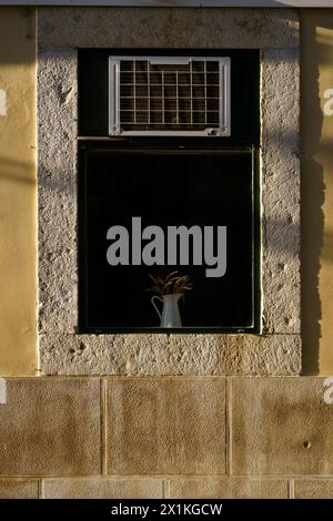 Finestra su un muro di pietra con una piccola pianta in vaso Foto Stock