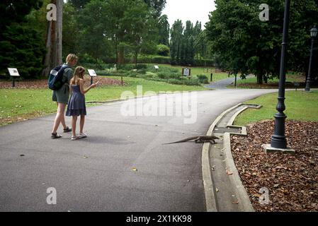 John Angerson 2024 - Singapore Foto Stock