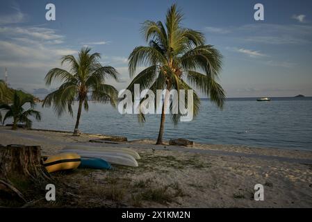 John Angerson 2024 Tioman Island, Malesia, Foto Stock