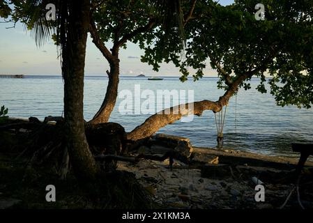 John Angerson 2024 Tioman Island, Malesia, Foto Stock