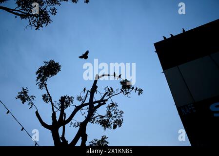 John Angerson 2024. Malacca, Malesia, Foto Stock