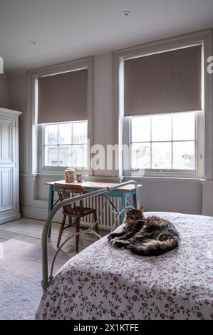 Gatto sul letto nell'elegante residenza georgiana di Greenwich, Londra, Regno Unito Foto Stock