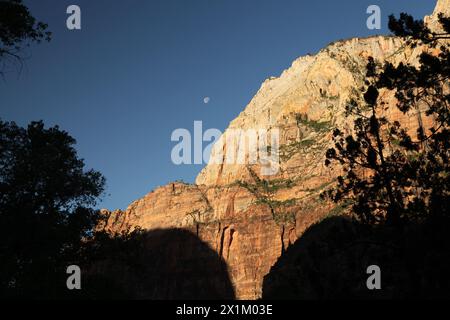 Soleggiata luna mattutina sopra le pareti del canyon nel Parco Nazionale di Zion, Utah Foto Stock