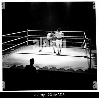 ARMY BOXING CHAMPIONSHIPS - Scene durante i round della finale dei pesi welter professionisti. Sgt.Instr.R.James [A.P.T.C] B. Sgt.Installa. A.Danahar [A.P.T.C.] indossando pantaloncini neri, Sgt.Inst. A. Danahar è stato il vincitore, British Army Foto Stock