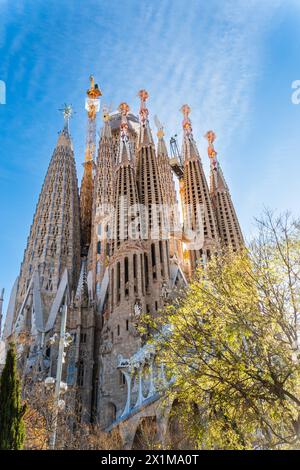 Türme der im Bau befindlichen Basalika Sagrada Familia, römisch-katholische Basilika von Antoni Gaudi a Barcellona, spagnolo Barcellona Katalonien Spani Foto Stock