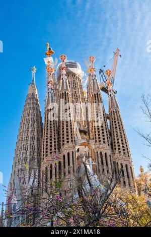 Türme der im Bau befindlichen Basalika Sagrada Familia, römisch-katholische Basilika von Antoni Gaudi a Barcellona, spagnolo Barcellona Katalonien Spani Foto Stock