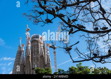 Türme der im Bau befindlichen Basalika Sagrada Familia, römisch-katholische Basilika von Antoni Gaudi a Barcellona, spagnolo Barcellona Katalonien Spani Foto Stock