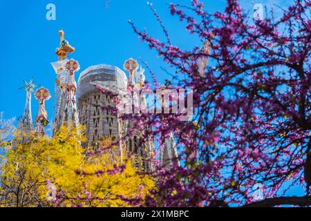 Türme der im Bau befindlichen Basalika Sagrada Familia, römisch-katholische Basilika von Antoni Gaudi a Barcellona, spagnolo Barcellona Katalonien Spani Foto Stock