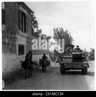 FOTOGRAFIE SCATTATE A CIPRO - Un carro armato leggero di un reggimento di cavalleria australiano che passa lungo una strada sull'isola, British Army Foto Stock