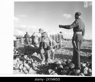 L'ESERCITO POLACCO NELL'ASSEDIO DI TOBRUK, 1941 - prigionieri di guerra tedeschi scavando trincee mentre erano sorvegliati dalla polizia militare della Brigata dei fucilieri dei Carpazi indipendenti polacchi a Tobruk, dall'esercito britannico, dall'esercito polacco, dalle forze armate polacche in Occidente, dalla Brigata dei fucilieri dei Carpazi indipendenti, dai topi di Tobruk Foto Stock