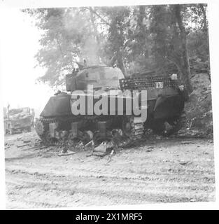 ITALIA: L'ASSALTO ALLA LINEA GUSTAV - Un carro Sherman in fiamme che è stato colpito durante un'azione, British Army Foto Stock