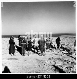 L'ESERCITO POLACCO NELLA CAMPAGNA DEL DESERTO occidentale, 1940-1942 - prigionieri italiani riuniti da una pattuglia della Brigata dei fucilieri indipendenti polacchi sulla strada a sud-ovest di Gazala, Libia, Esercito britannico, Esercito polacco, forze armate polacche in Occidente, Brigata dei fucilieri dei Carpazi indipendenti Foto Stock